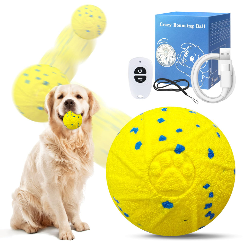 Dolita interactive dog ball remote control for indoor fetch and play