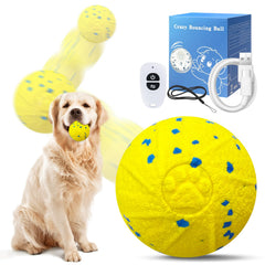 Dolita interactive dog ball remote control for indoor fetch and play