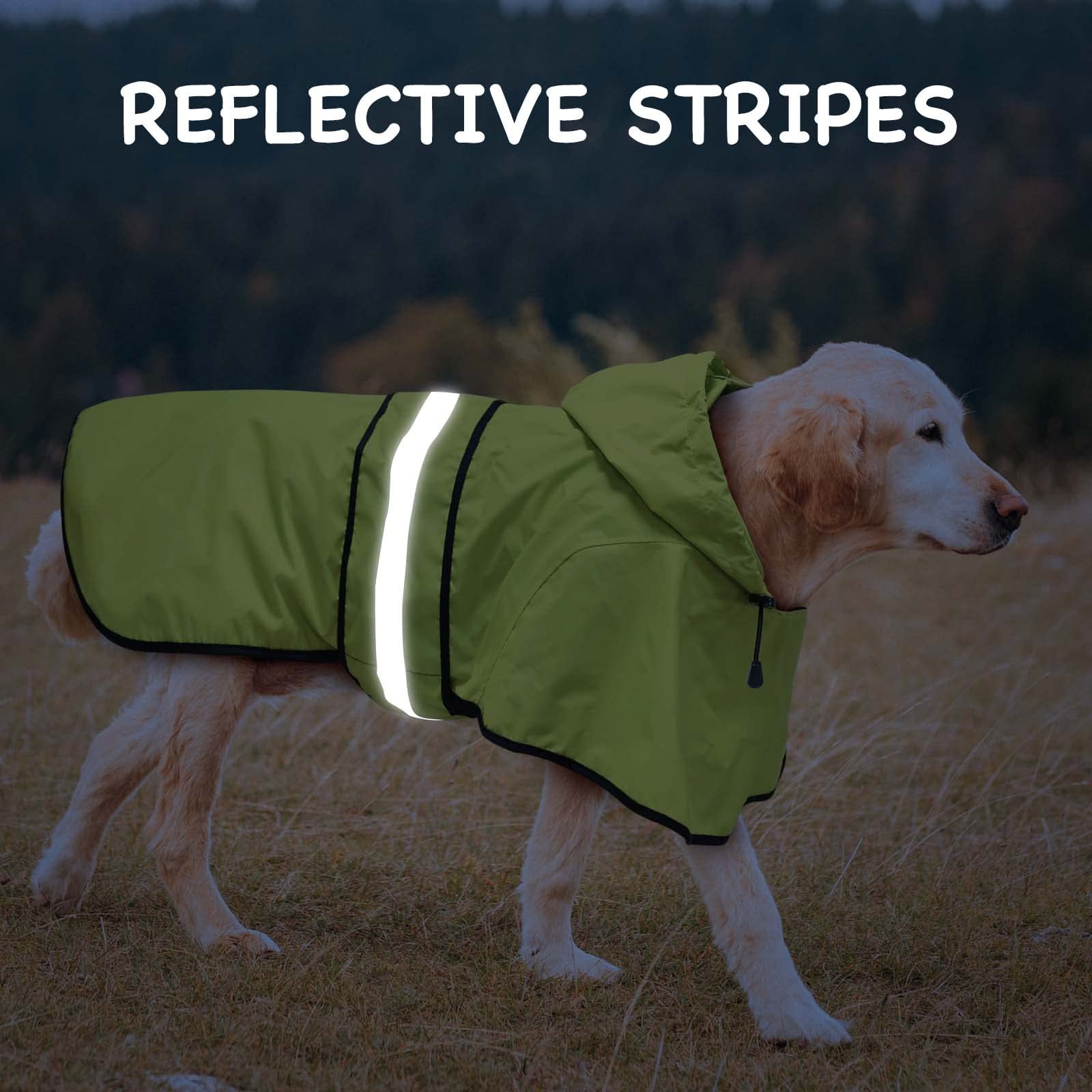 Dolitego dog raincoat with harness hole design for easy leash use.
