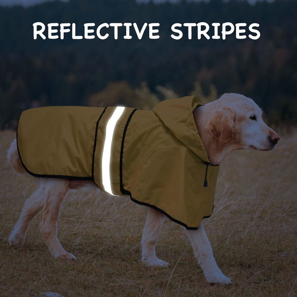 Dolitego waterproof fabric keeps dogs dry during rainy strolls.