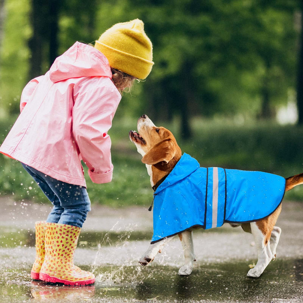 Dolitego blue medium raincoat in action during night walks