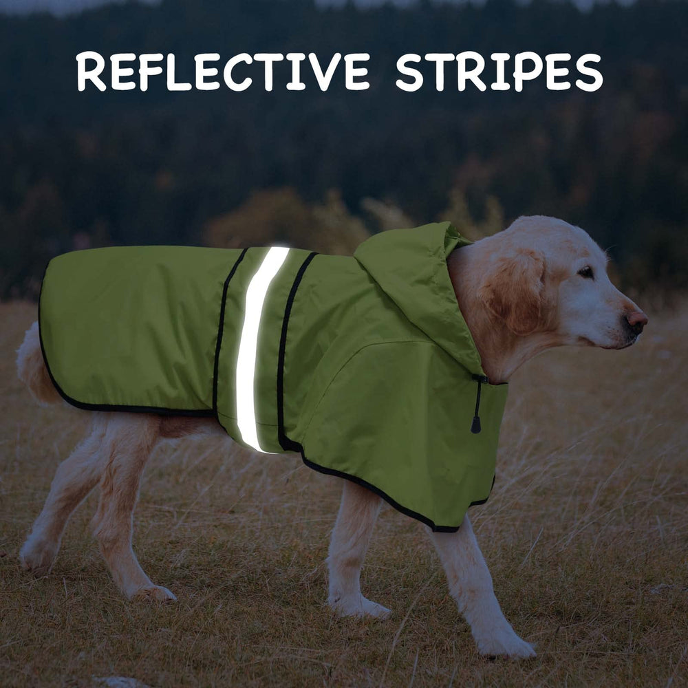 Dolitego hooded dog raincoat in green offers fashionable rain protection.