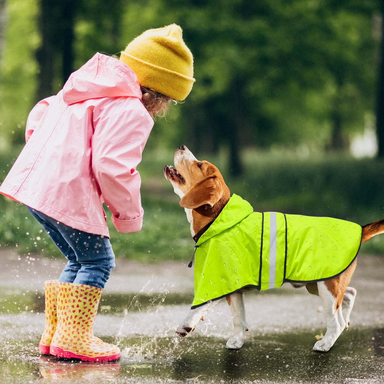 Dolitego hooded dog raincoat is lightweight for all-day comfort.