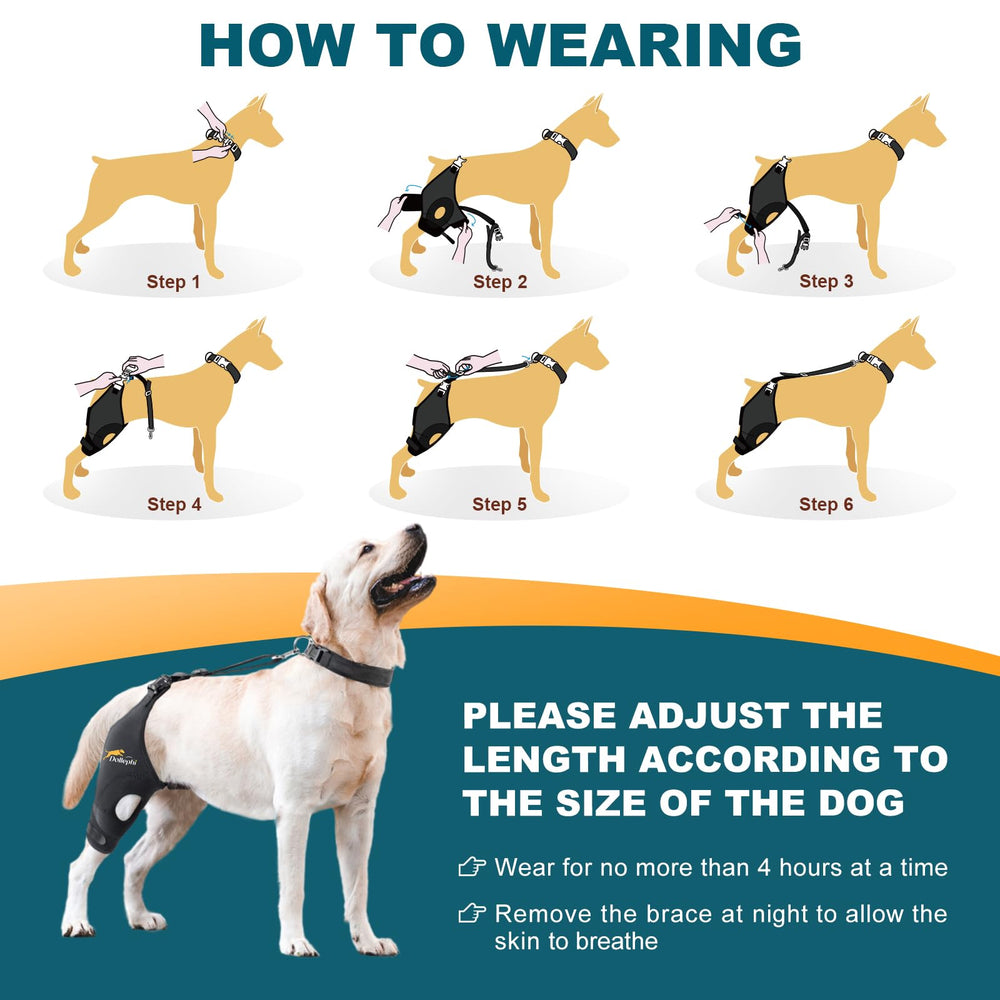 Dollephi dog knee brace 360-degree wrap evenly distributes pressure for stability.