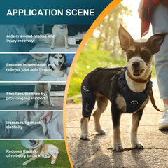 Dollephi knee brace demonstrates 360-degree wrap for hind leg stability.