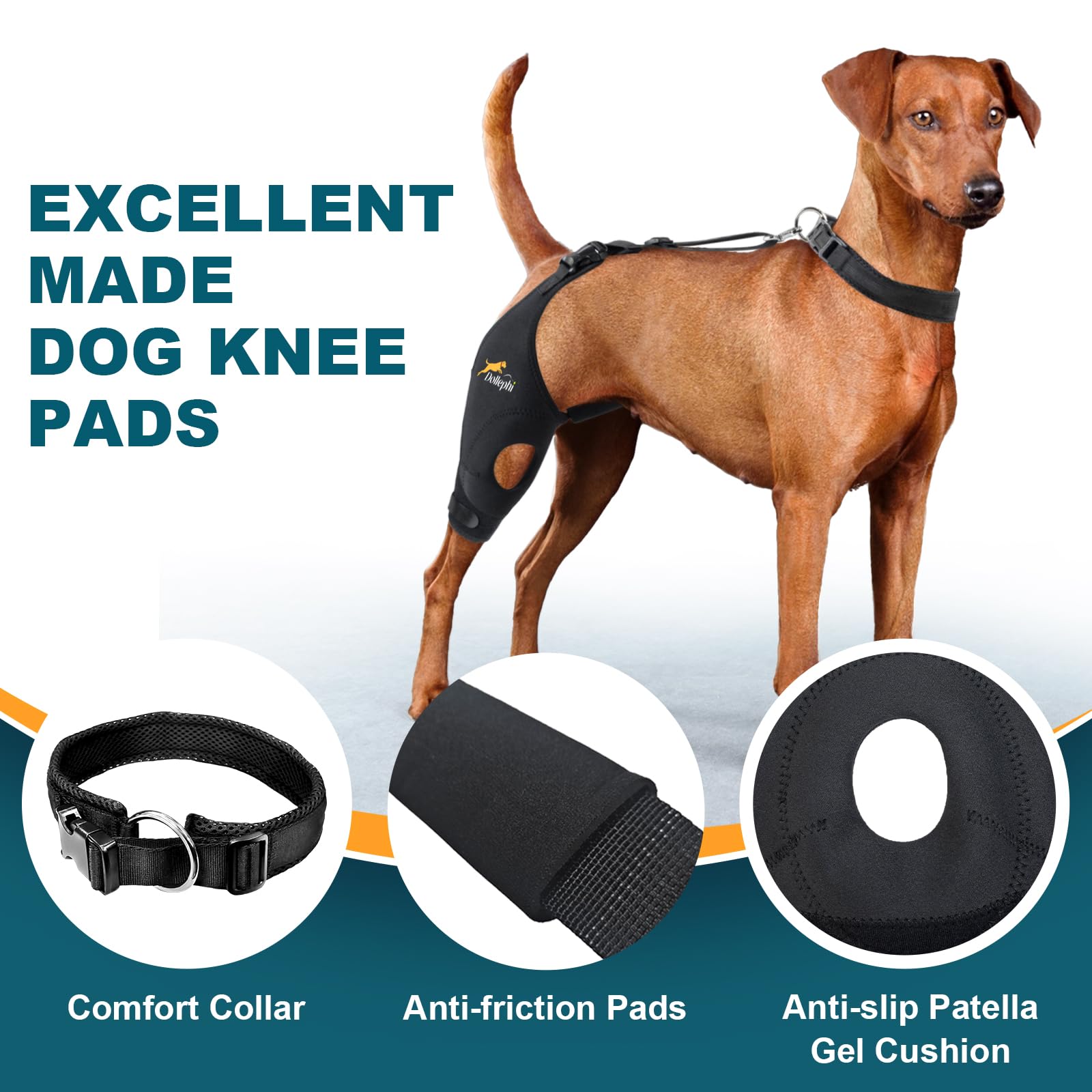 Dollephi breathable neoprene fabric keeps your dog's leg cool and comfortable.