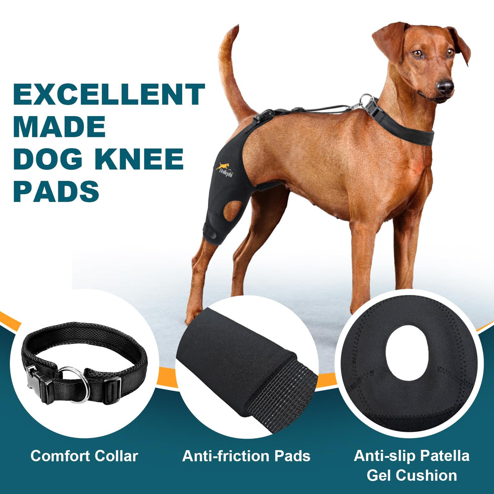 Dollephi breathable neoprene fabric keeps your dog's leg cool and comfortable.