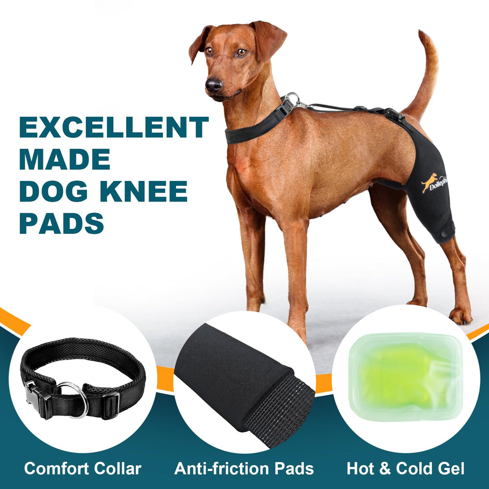 Dollephi dog knee brace easy-on design for quick fitting.