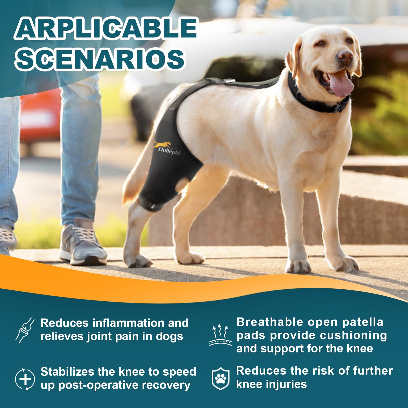 Dollephi dog knee brace easy-on wrap design for quick application.