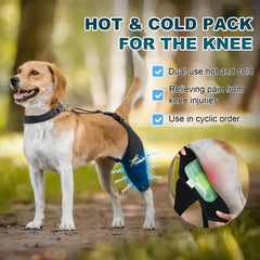 Dollephi dog knee brace left leg wrapped demonstrates stability and comfort.