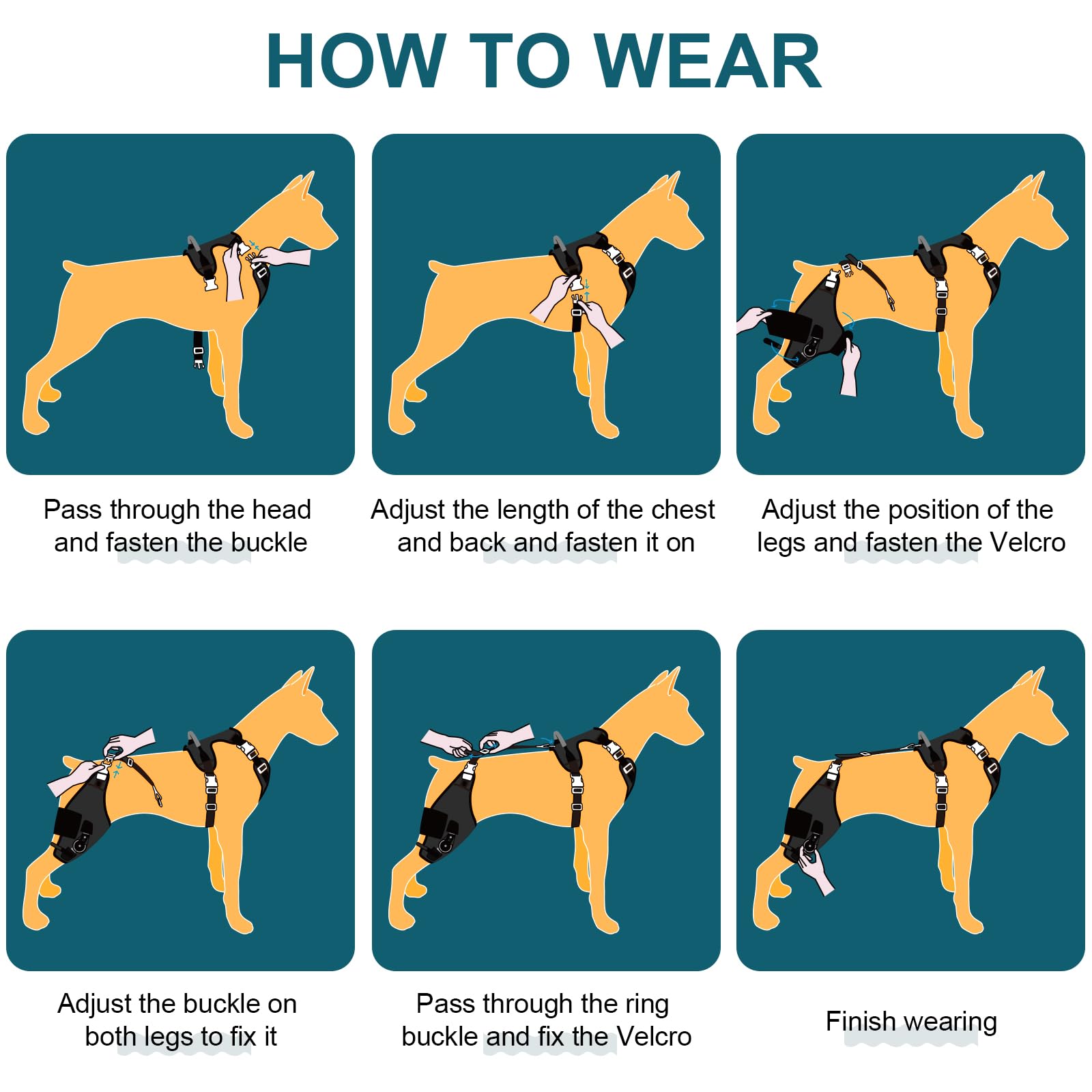 Dollephi ACL knee brace on a dog with secure, comfortable fit.