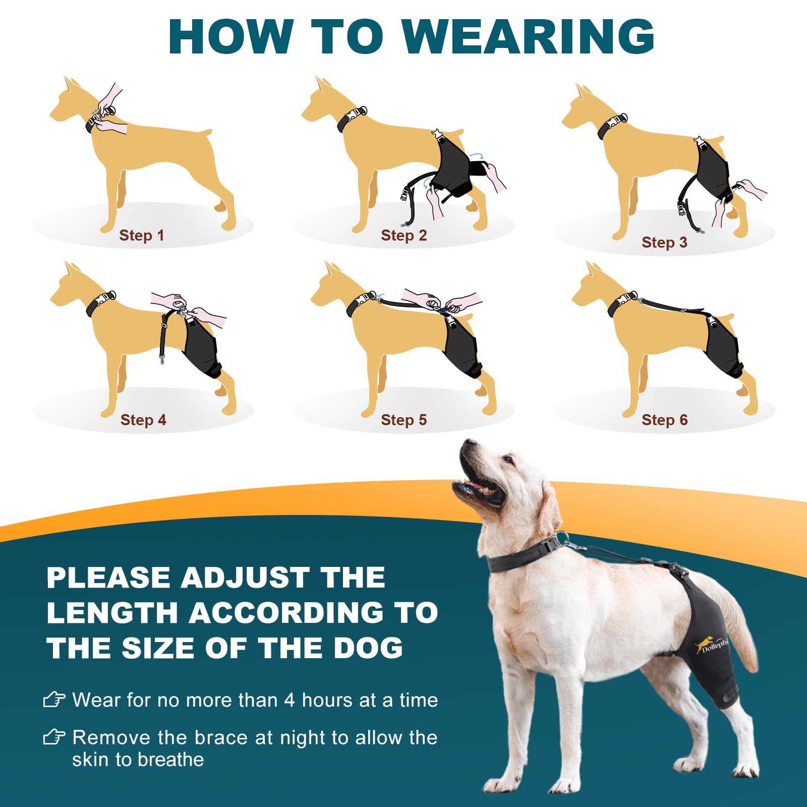 Dollephi dog knee brace with Velcro straps for secure adjustment.