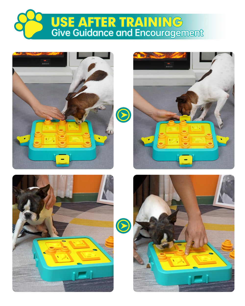 DollSheriffgoo dog puzzle compartments close up showing treat access and problem solving