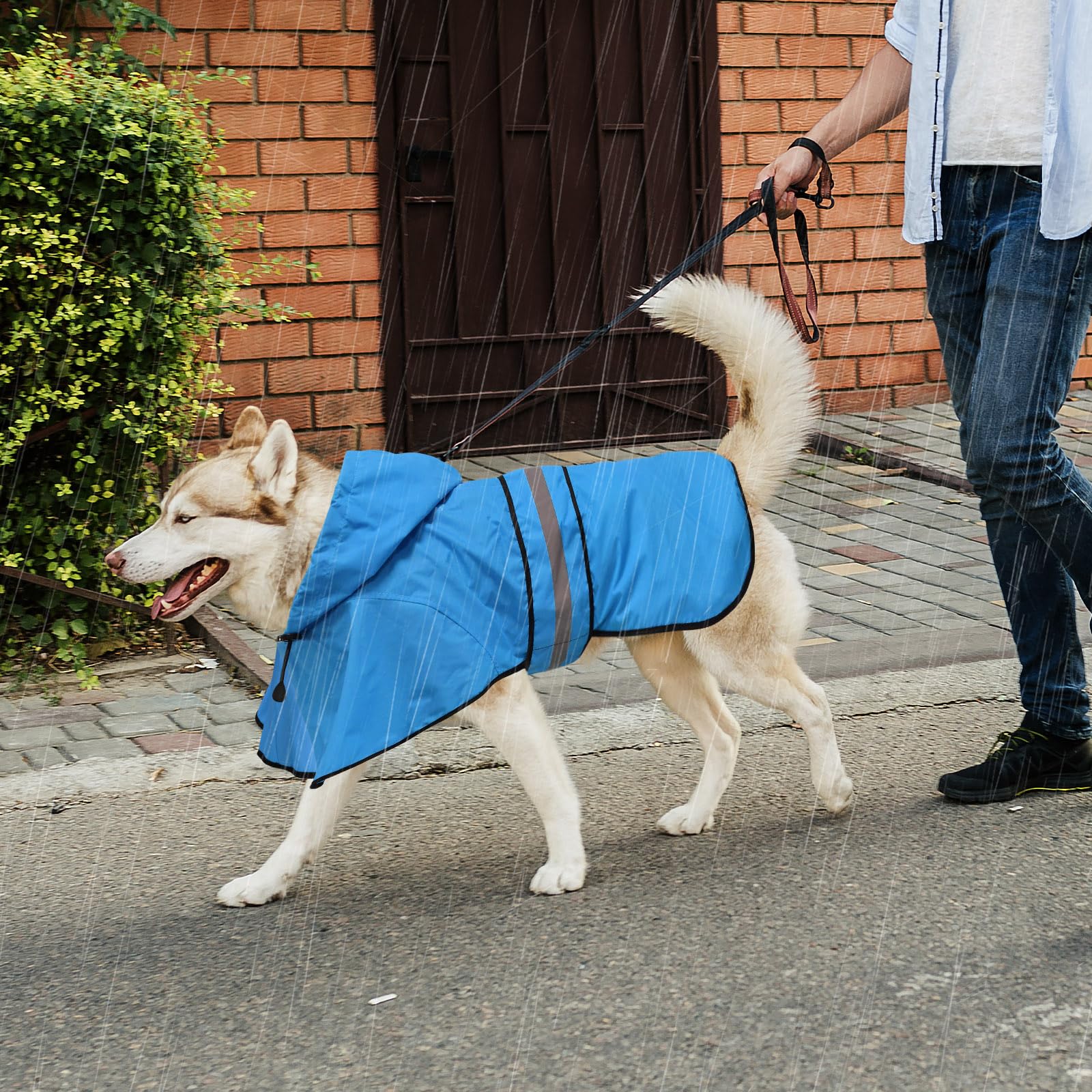 Domagiker dog raincoat adjustable chest belly straps ensure a snug fit