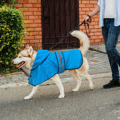 Domagiker dog raincoat adjustable chest belly straps ensure a snug fit