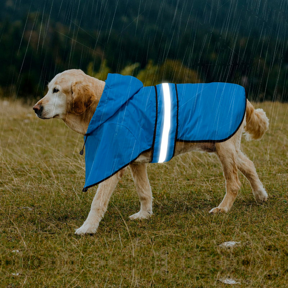 Domagiker dog raincoat reflective strip belly enhances visibility at night