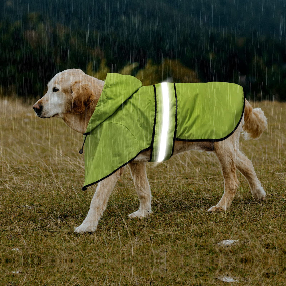 Domagiker green large raincoat with size chart for proper fit.