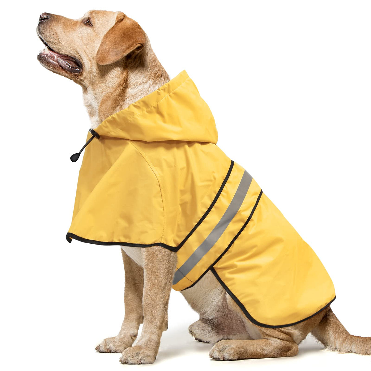 Domagiker reflective dog raincoat hooded for visibility during night walks.