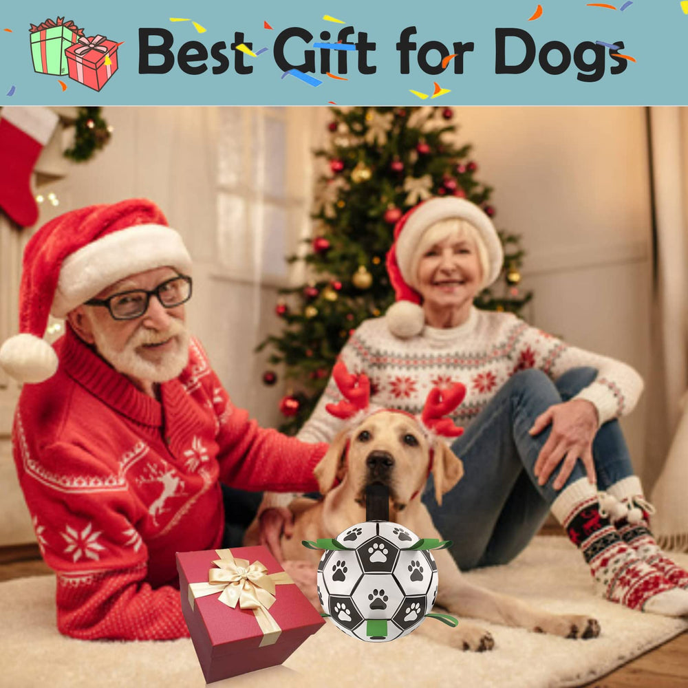 Domchan Ropes Soccer Ball Toy during dog playtime for mental and physical stimulation.