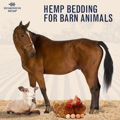 Dominion Hemp soft-comfort bedding cushions nesting areas for small pets.