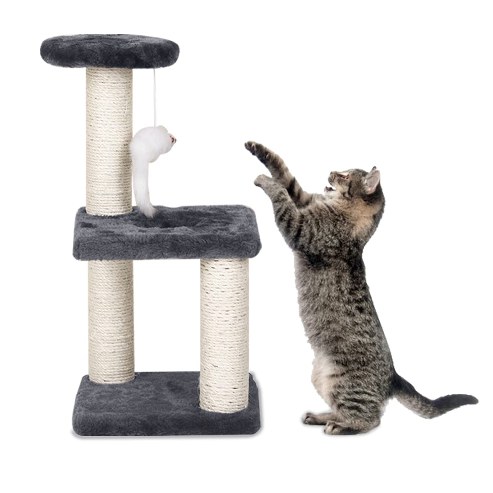 Donmnemb small cat tree with sisal pole provides satisfying scratching to protect furniture.