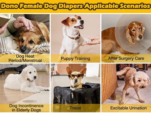 Dono dog diapers 24-pack packaging closeup communicates value and convenience