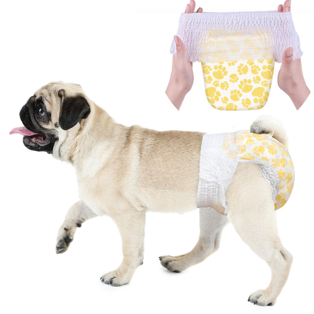 Dono Dog Diapers 360-wrap waist keep dogs secure during playtime.