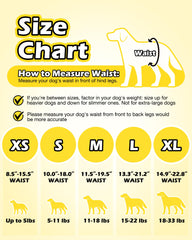 Dono Dog Diapers 360-wrap shows full coverage for leaks.