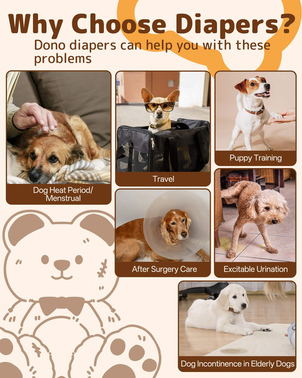 Dono Dog Diapers bear-print design for pleasant daily use.