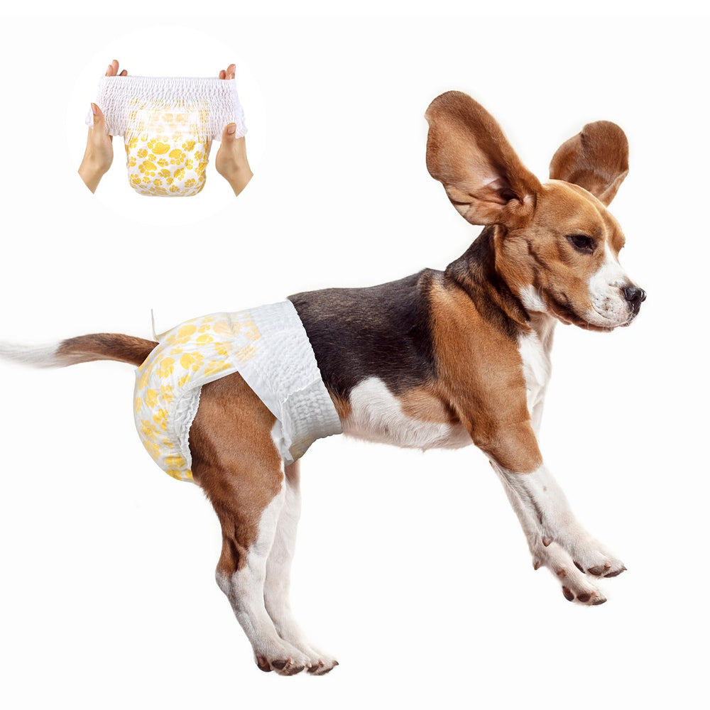 Dono dog diapers easy-to-change tear-off design for quick changes