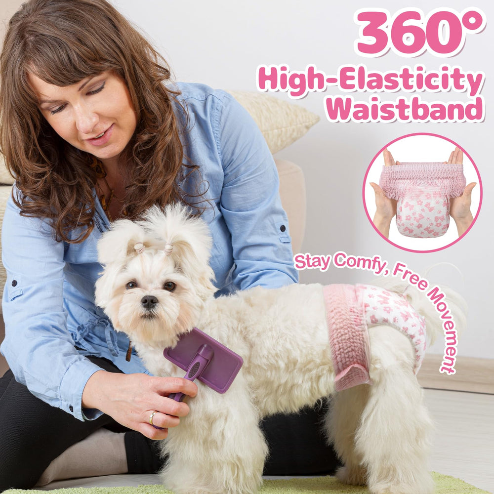 Dono dog diapers highlighting dual leak-proof barriers to prevent accidents.
