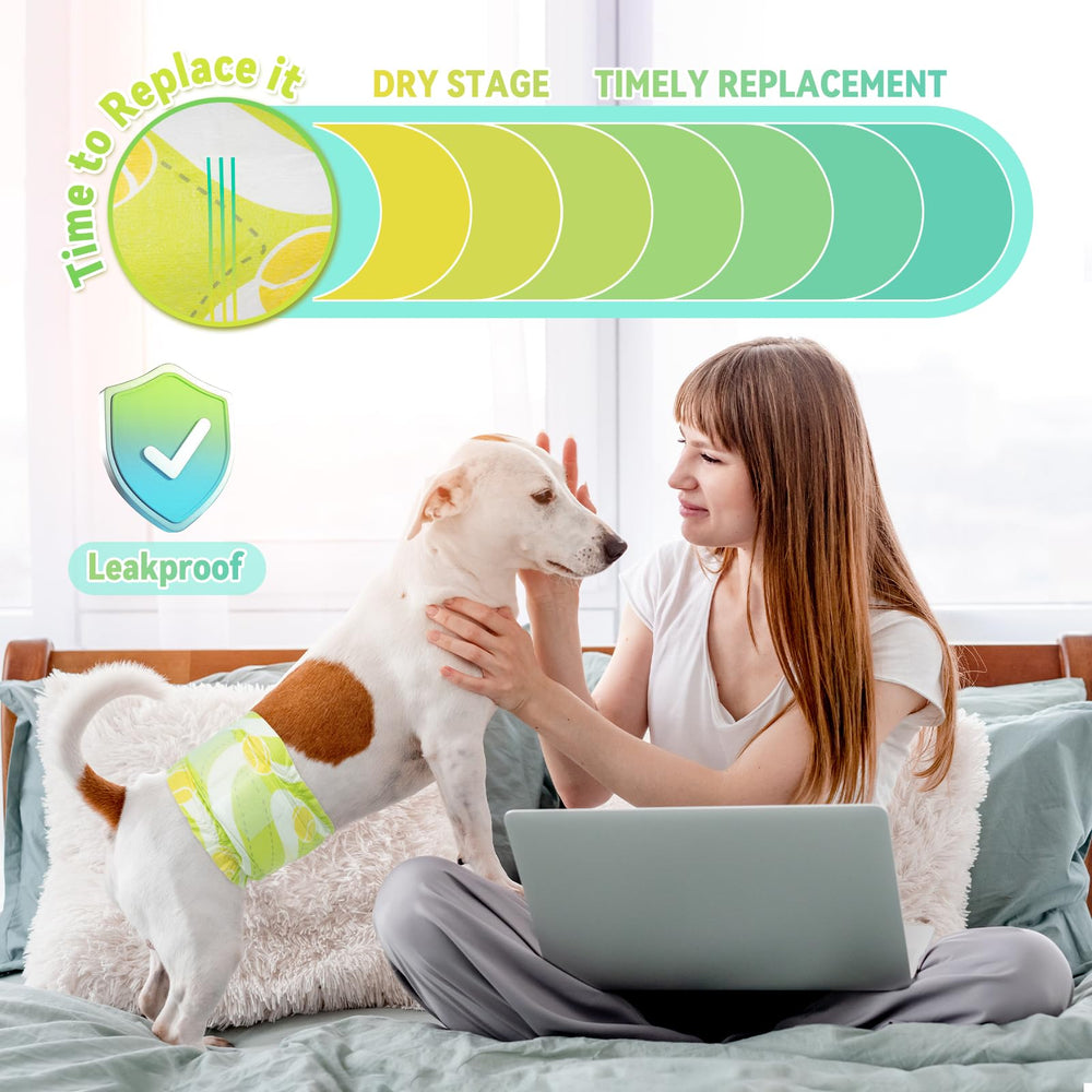 Dono dog diapers small use breathable soft material for daily comfort.