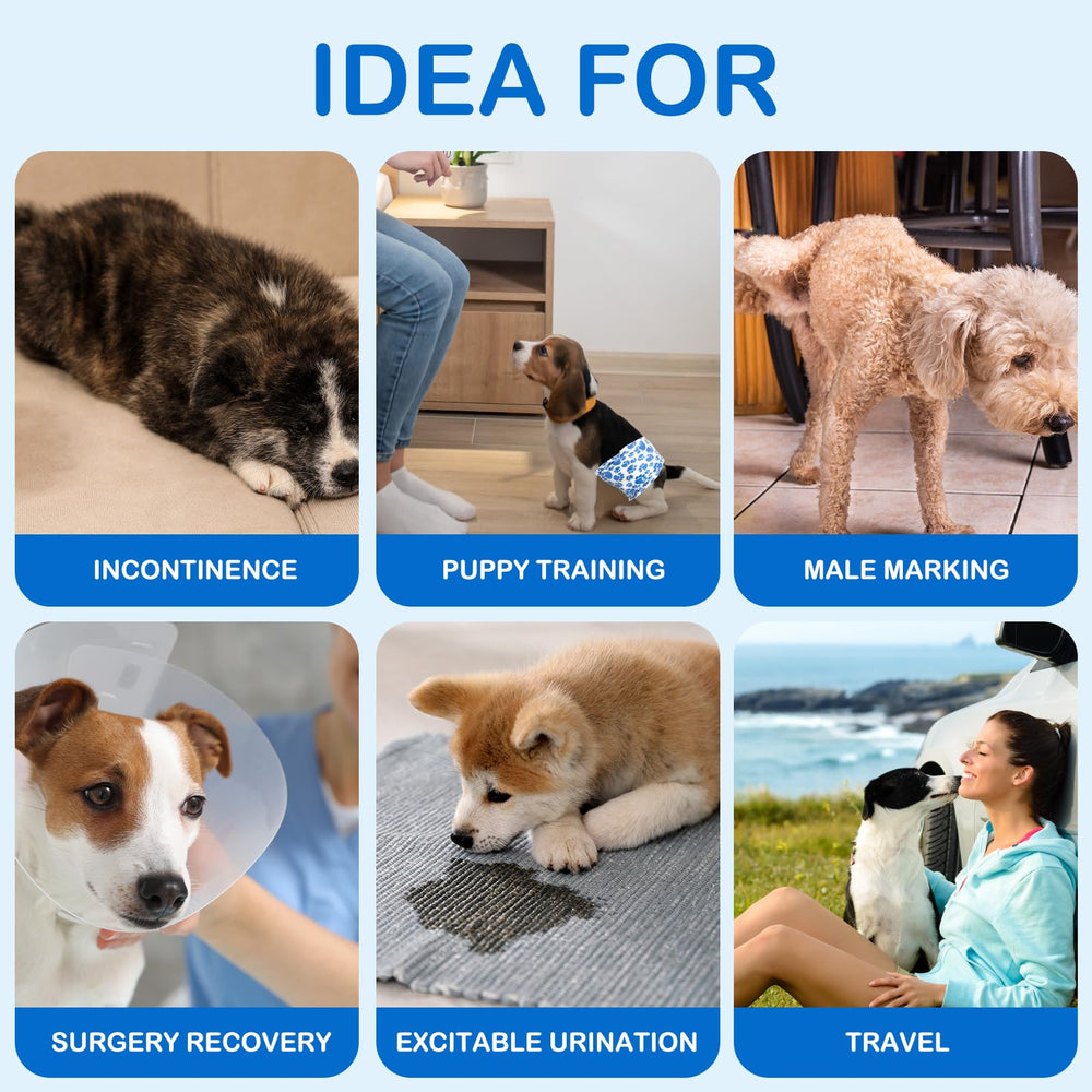 Dono dog diapers small-size-12-19 image confirms fit for small male dogs.