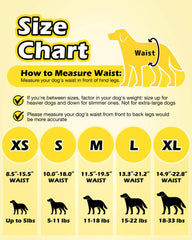 Dono Dog Diapers stretchy waistband demonstrates comfortable pull-up design.