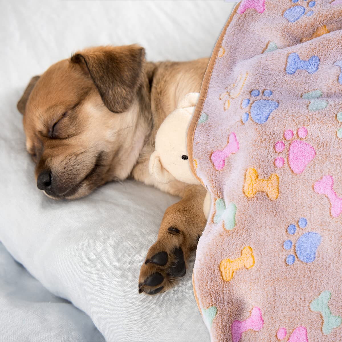 Dono small dog cat blanket snug design for home resting.