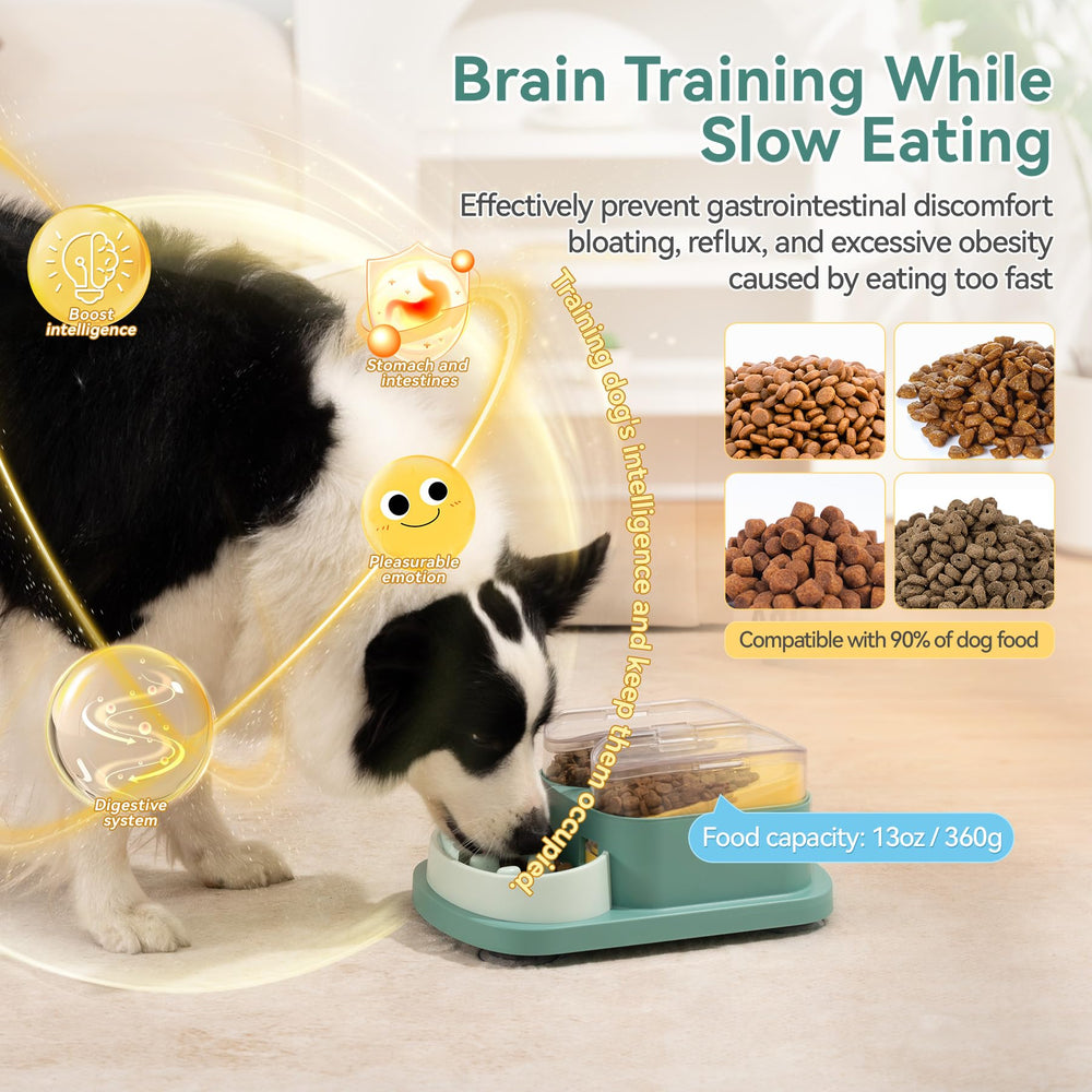 DOOKRON dog puzzle toy adjustable speed for customized challenges.
