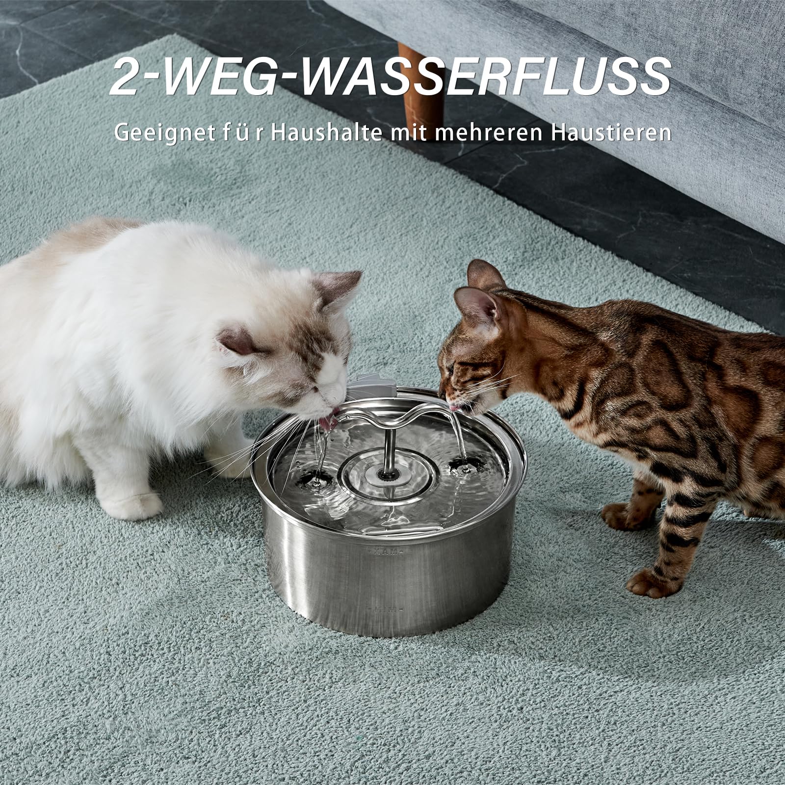 DOOOB cat water fountain double filtration for cleaner-tasting water