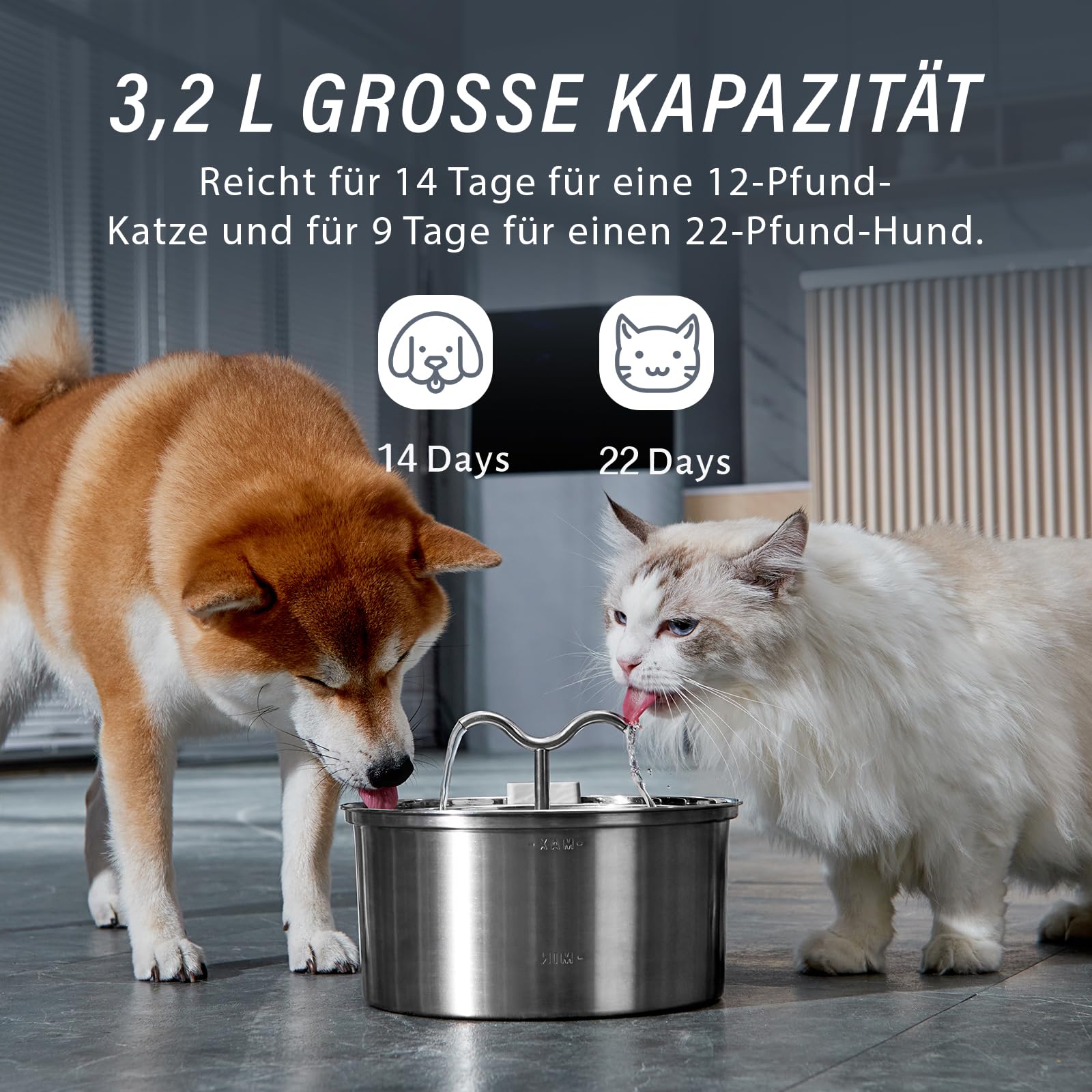 DOOOB cat water fountain demonstrates two drinking modes for versatility