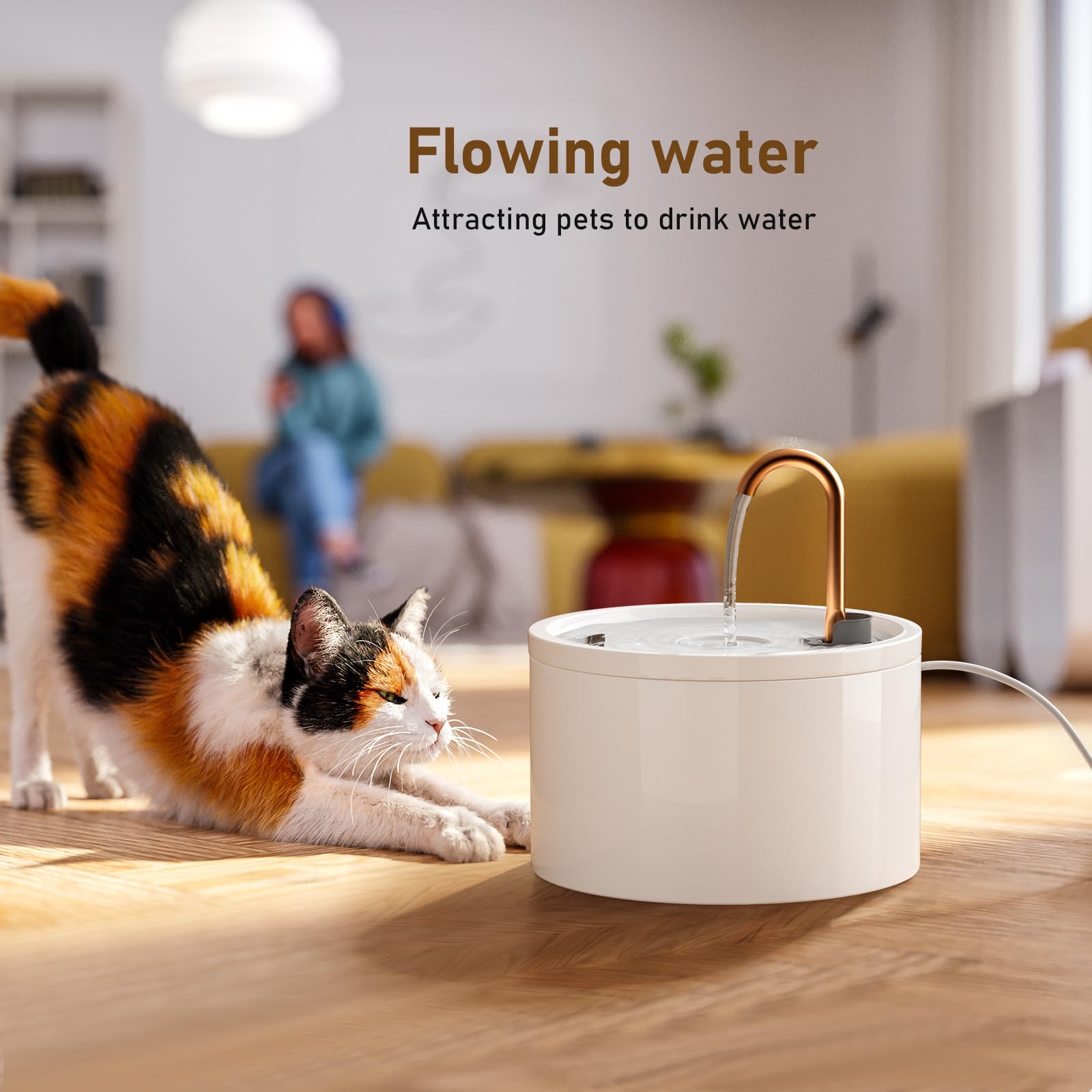 DOOOB 2.1L capacity keeps pets hydrated between refills.