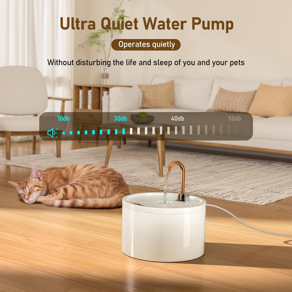 DOOOB fountain with double filtration carbon filter and sponge purifies water.