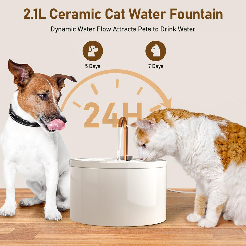 DOOOB dual-mode fountain offers stream and bubble options to attract cats.
