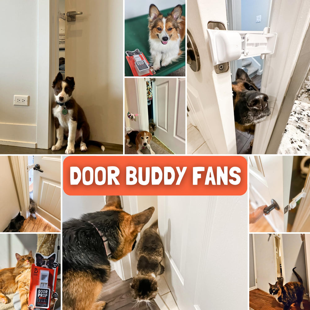 Door Buddy cat-feeding-station-use-case demonstrates practical setup for litter and feeding areas.
