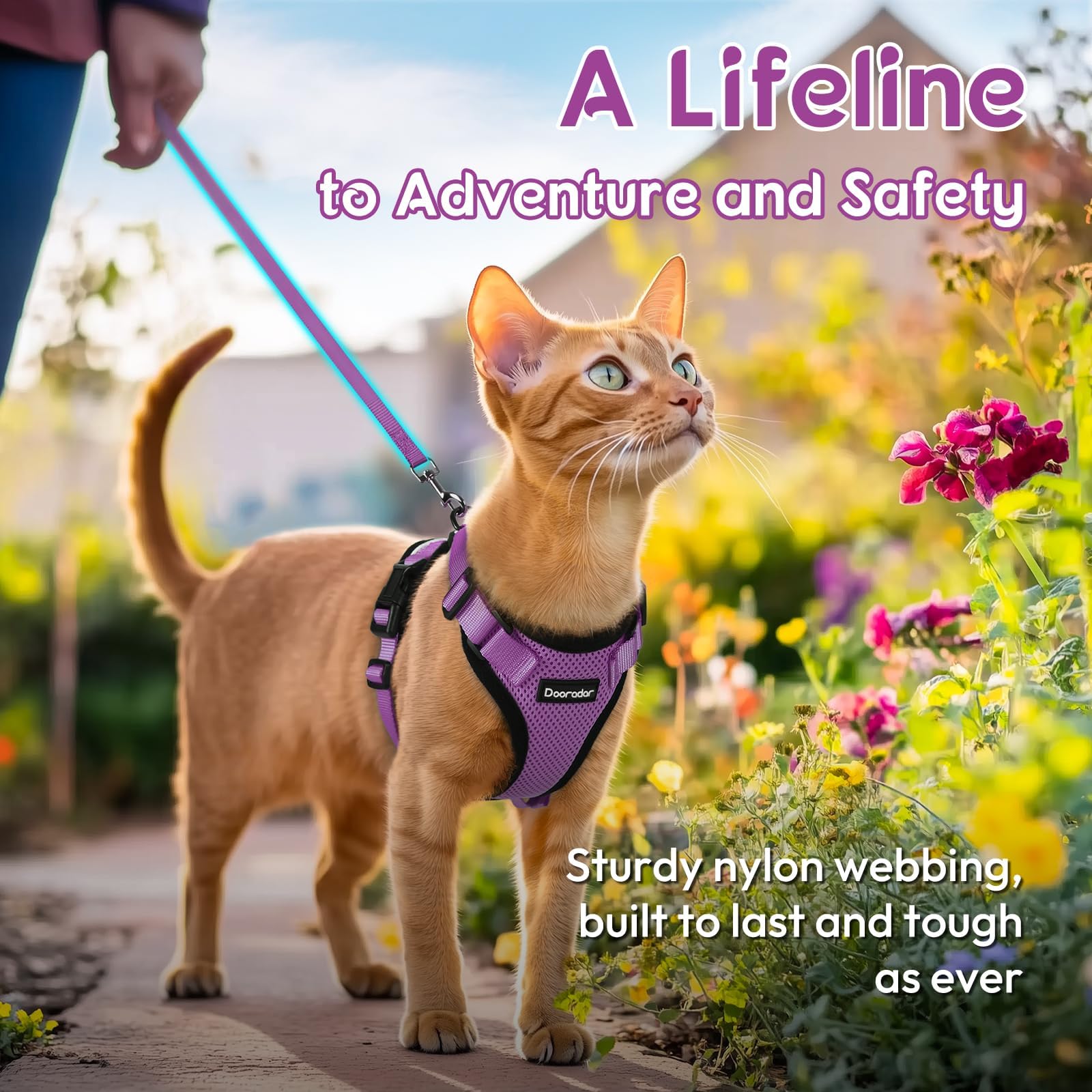 Dooradar cat harness purple breathable-mesh keeps cats cool during outdoor adventures