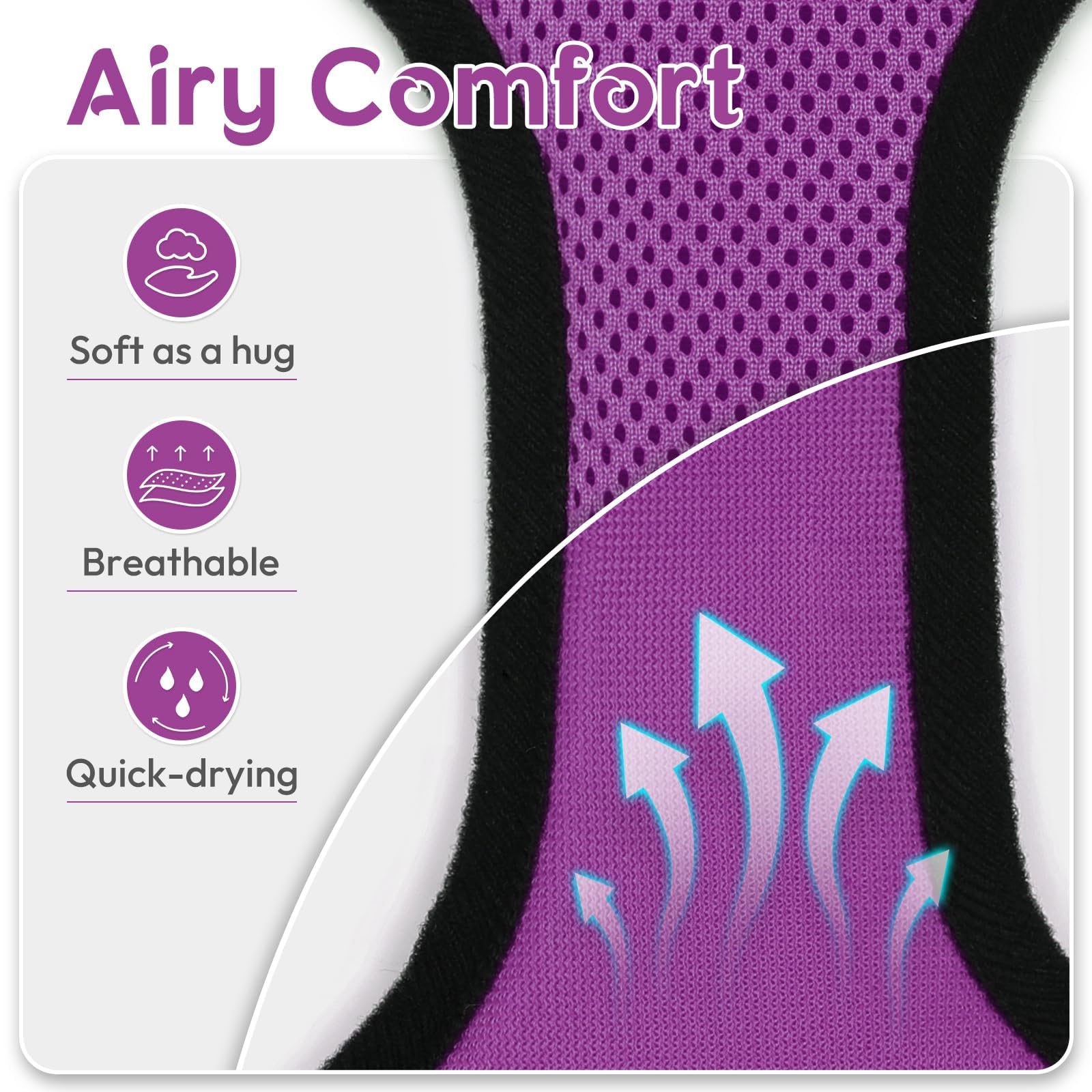 Dooradar cat harness purple on-cat view demonstrates stable harness for calm strolls