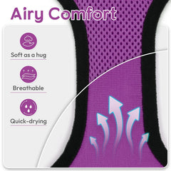 Dooradar cat harness purple on-cat view demonstrates stable harness for calm strolls