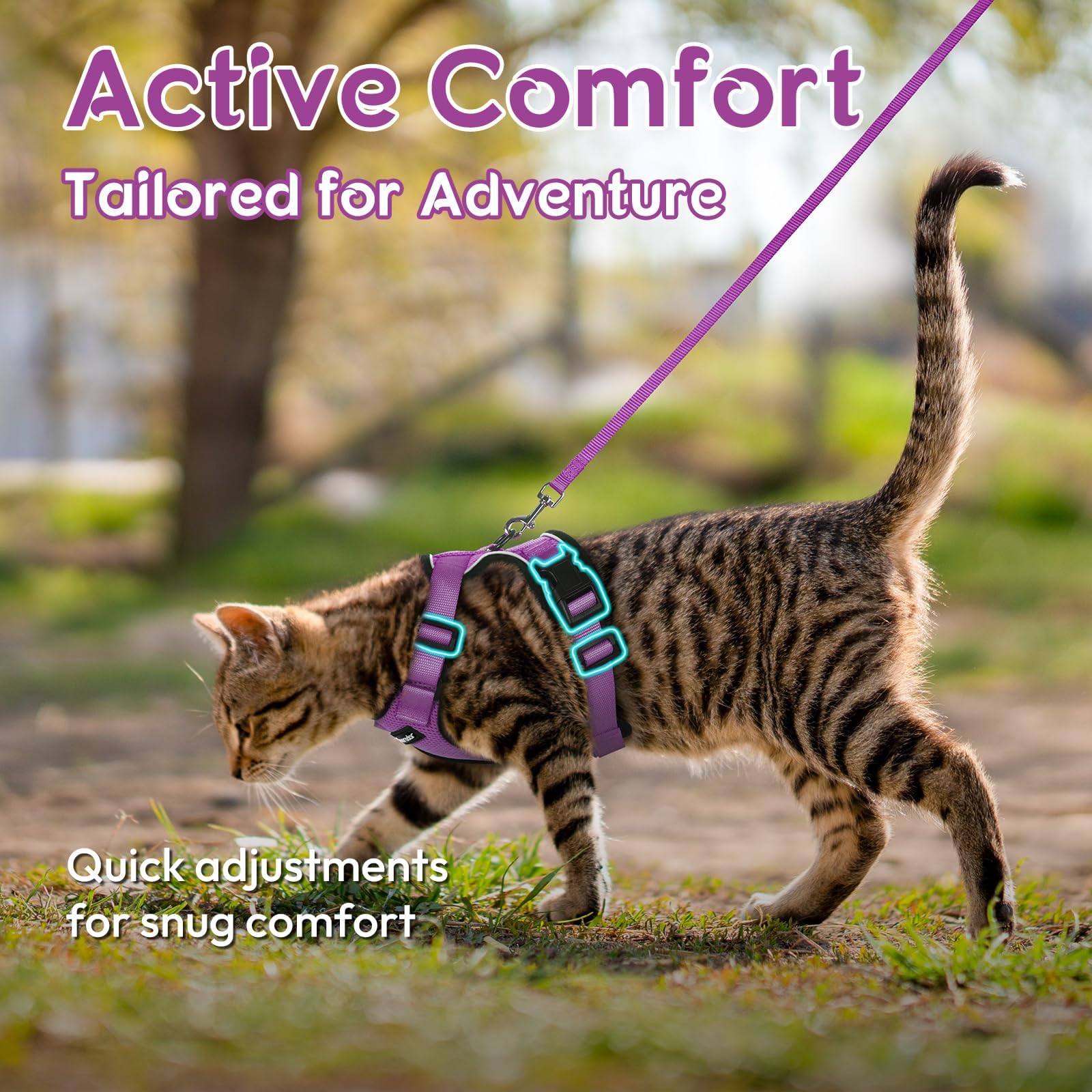 Dooradar cat harness purple reflective-strips shows nighttime visibility for safer walks