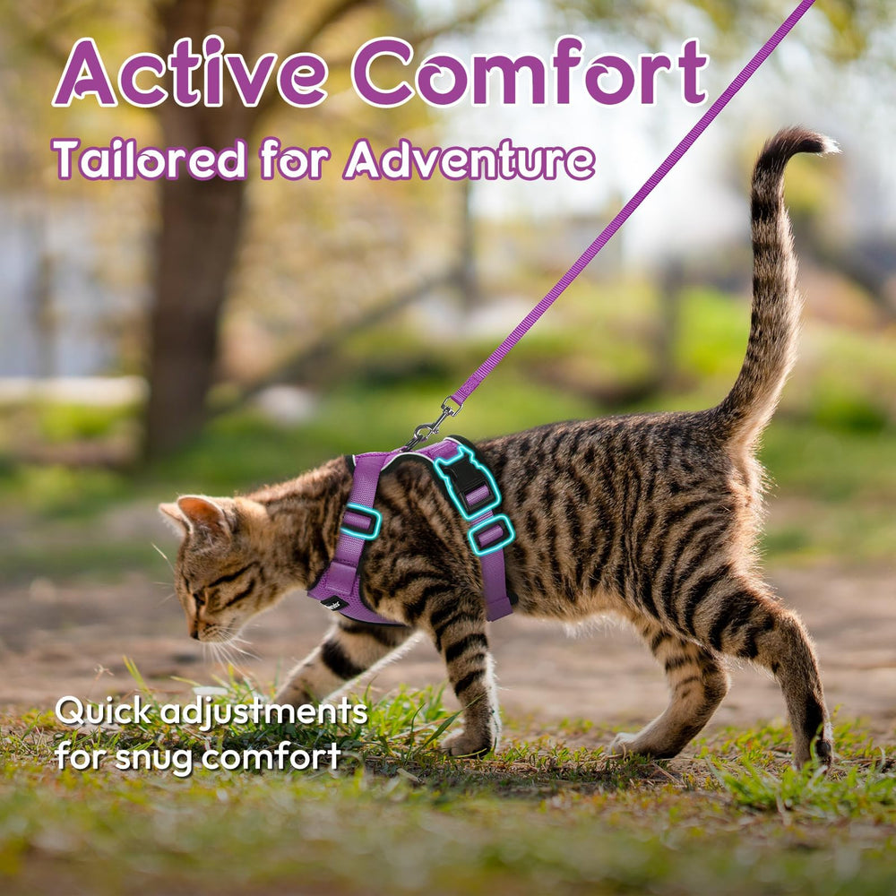 Dooradar cat harness purple reflective-strips shows nighttime visibility for safer walks