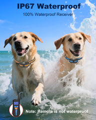 Doparet IP67 waterproof dog collar showcased in rain-ready training conditions.