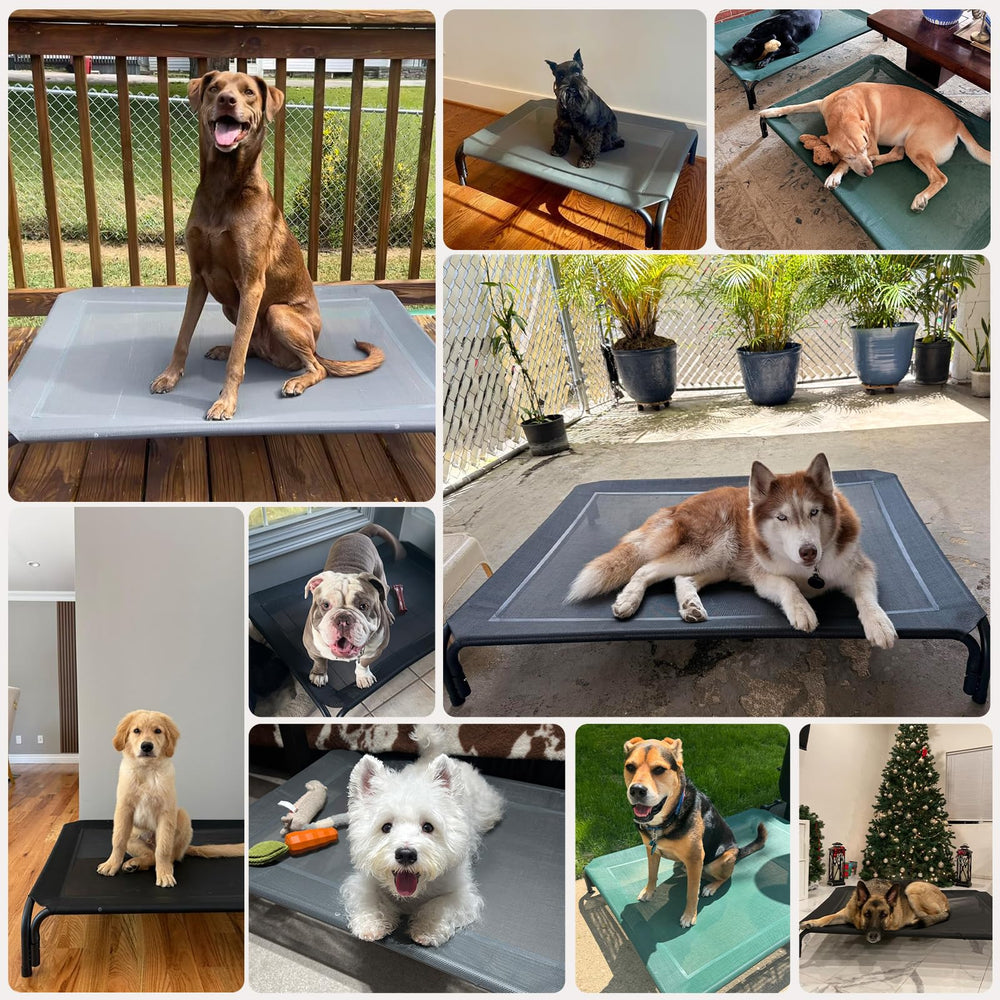 DOPEDIO elevated dog bed underneath clean keeps floors tidy.