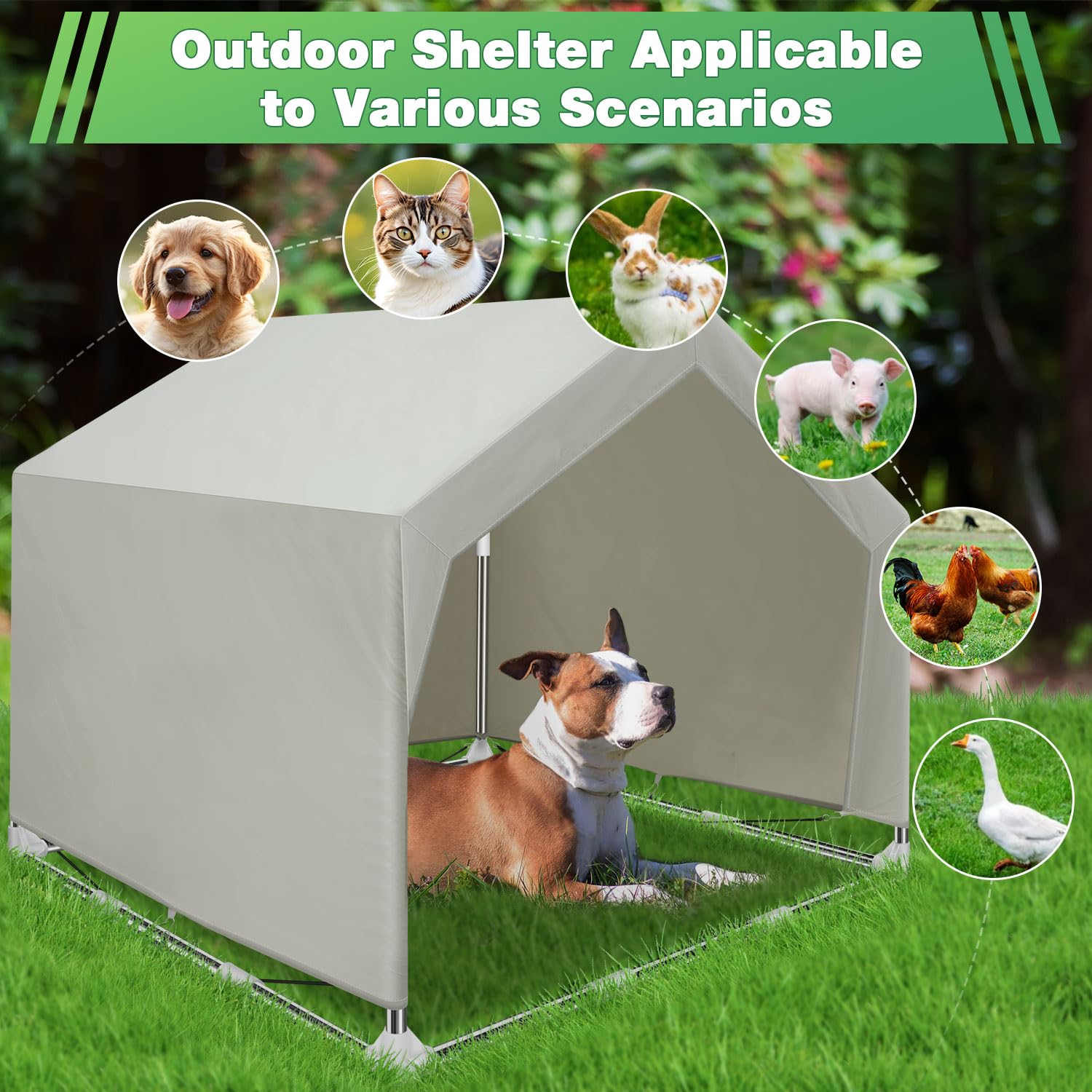 Dopliv Outdoor Pet Tent ready for yard use